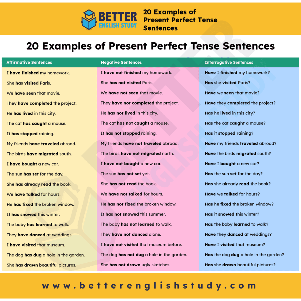 20 Examples of Present Perfect Tense Sentences