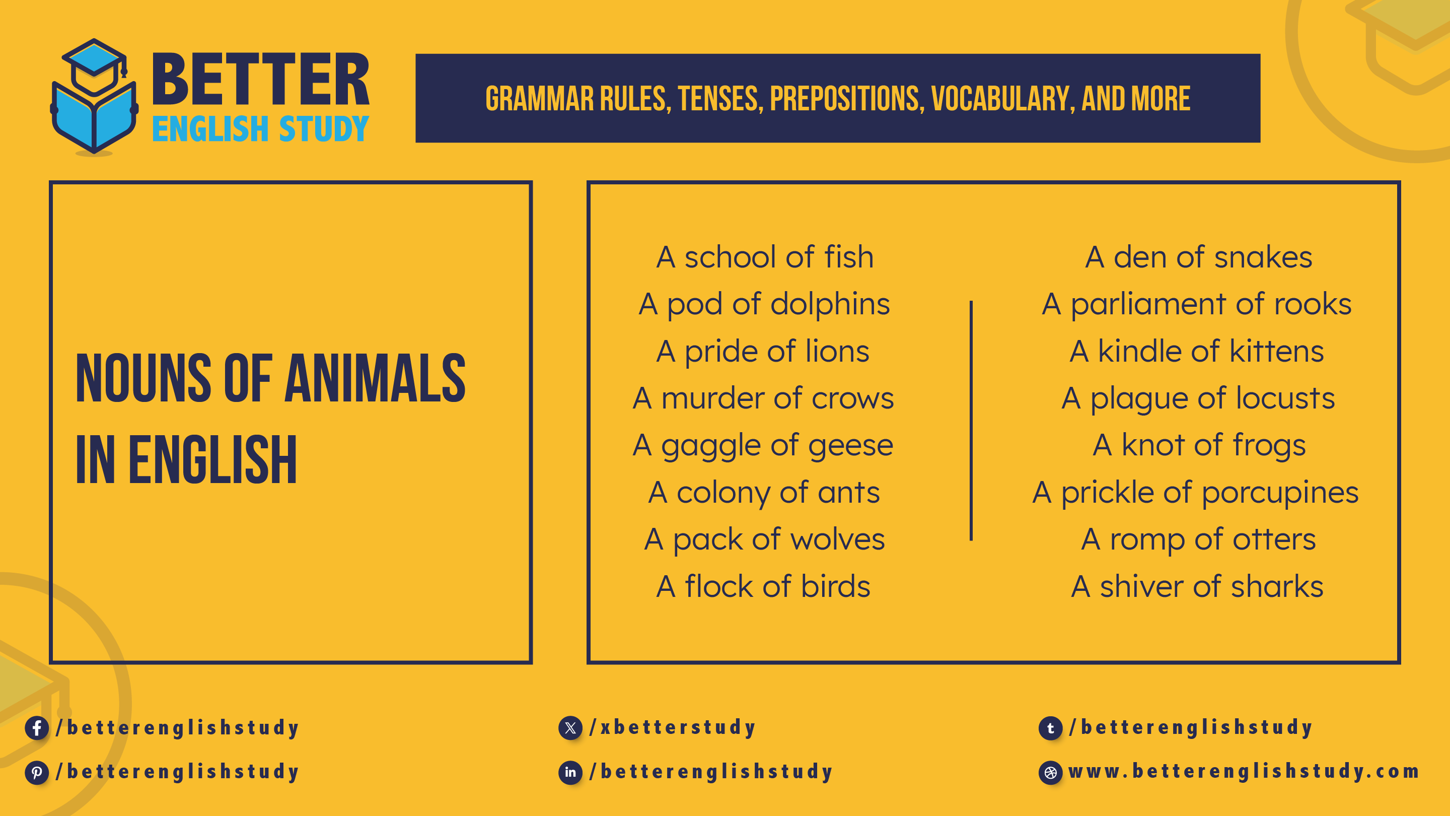 Examples of Collective Nouns Of Animals featured image