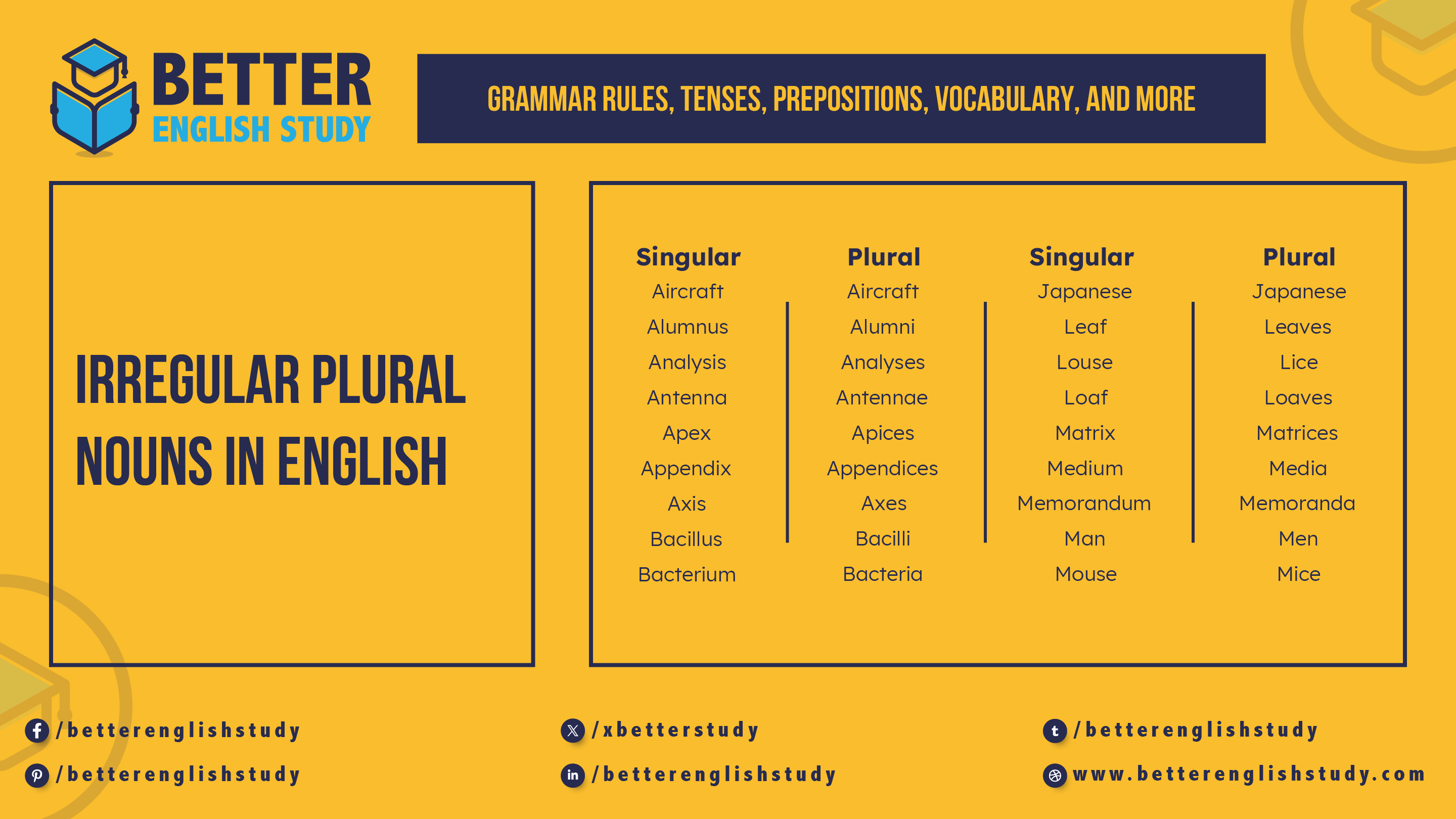 examples of Irregular Plural noun featured image