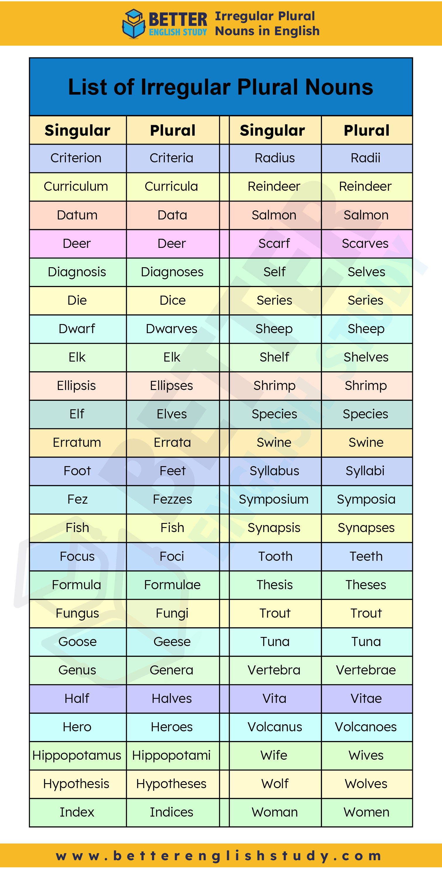 examples of Irregular Plural noun.2