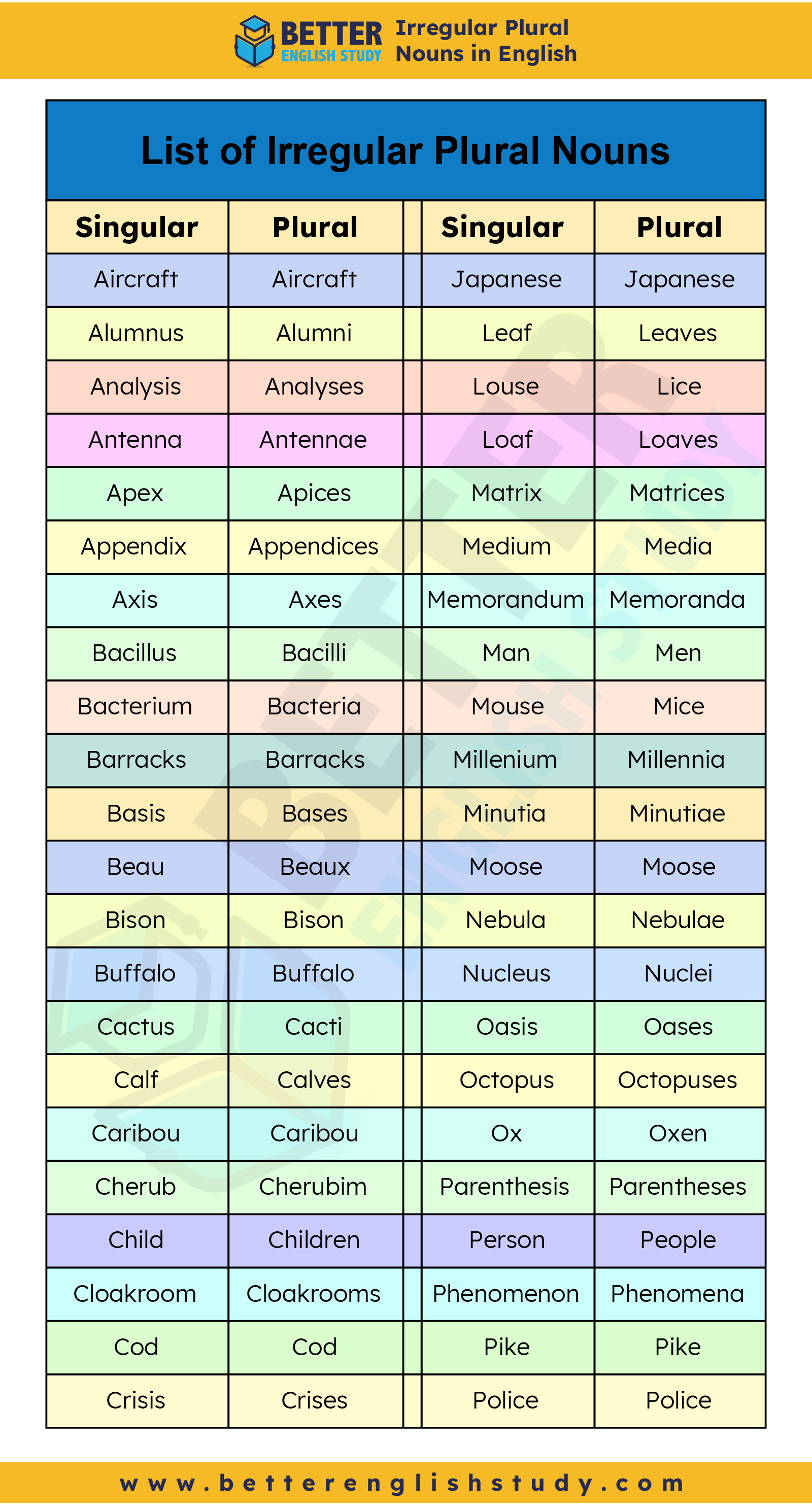 examples of Irregular Plural noun