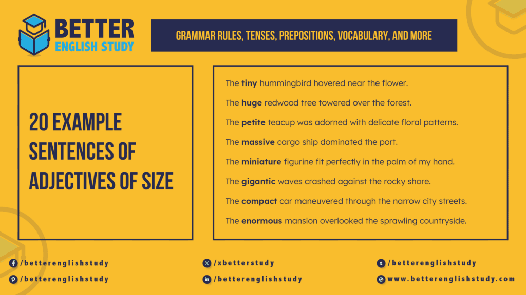 Adjectives of Size featured image